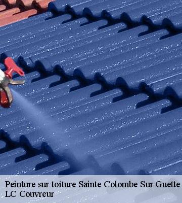 Peinture sur toiture