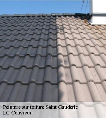 Peinture sur toiture