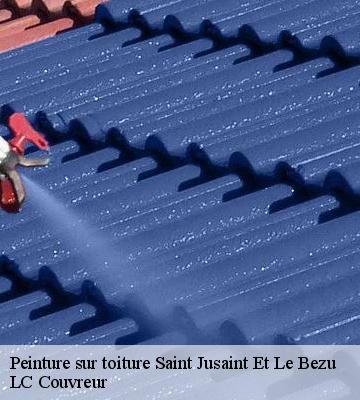 Peinture sur toiture