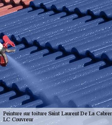 Peinture sur toiture