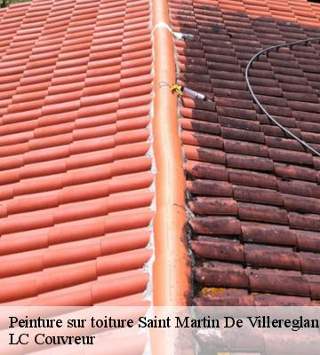 Peinture sur toiture