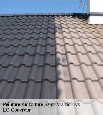 Peinture sur toiture