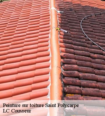 Peinture sur toiture