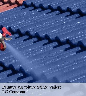 Peinture sur toiture