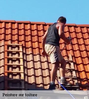 Peinture sur toiture