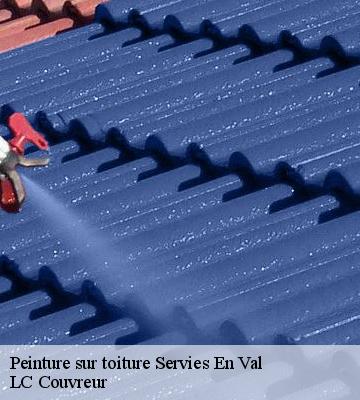 Peinture sur toiture