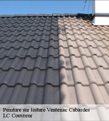 Peinture sur toiture
