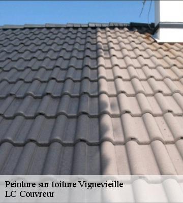 Peinture sur toiture