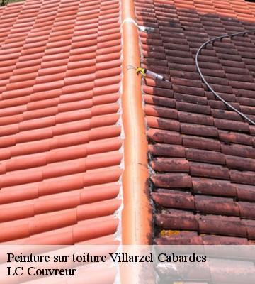 Peinture sur toiture
