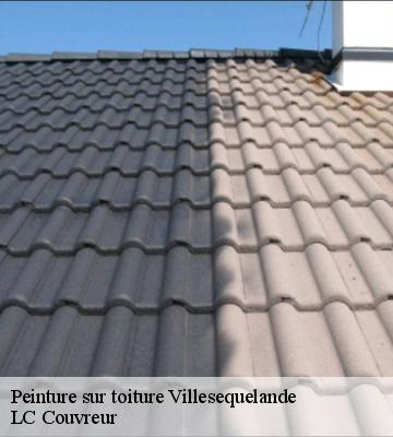 Peinture sur toiture