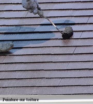 Peinture sur toiture