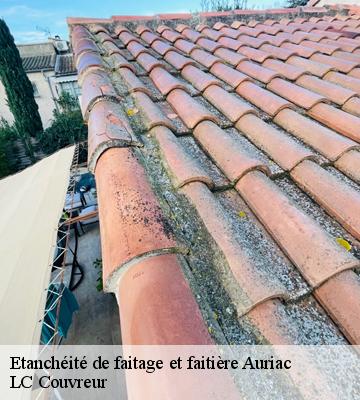 Etanchéité de faitage et faitière
