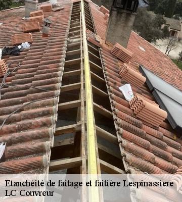 Etanchéité de faitage et faitière