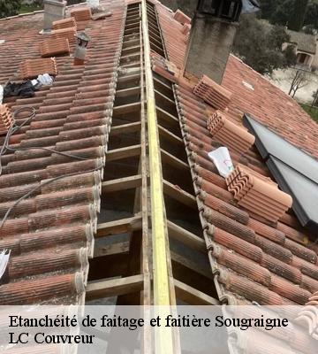 Etanchéité de faitage et faitière