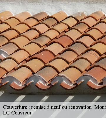 Couverture : remise à neuf ou rénovation 