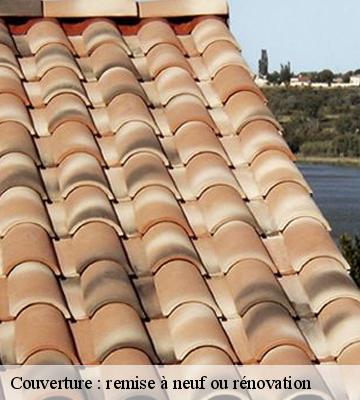Couverture : remise à neuf ou rénovation 
